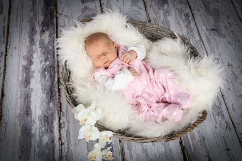 Baby 12